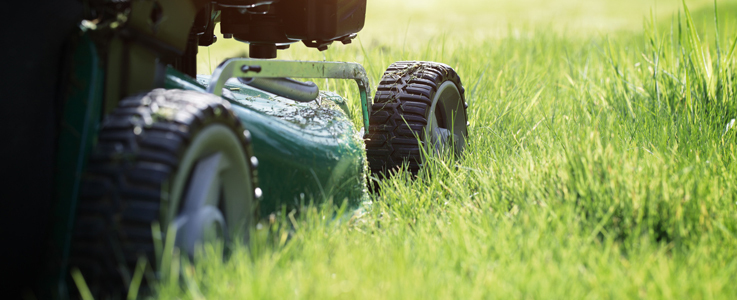 Ground Maintenance in Burnham on Sea, Weston Super Mare and Bridgwater